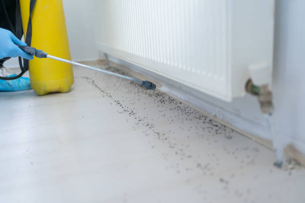 Best Cockroach Control Services  in North Port, FL